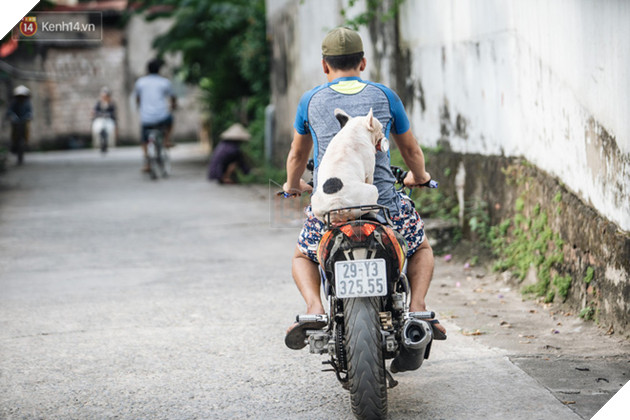 Đ&#226;y l&#224; gia t&#224;i &quot;si&#234;u to khổng lồ&quot; của Ủn - Ch&#250; ch&#243; th&#237;ch đi nhặt ve chai ở H&#224; Nội - Ảnh 9.