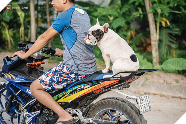 Đ&#226;y l&#224; gia t&#224;i &quot;si&#234;u to khổng lồ&quot; của Ủn - Ch&#250; ch&#243; th&#237;ch đi nhặt ve chai ở H&#224; Nội - Ảnh 9.