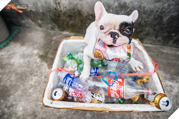 Đây là gia tài siêu to khổng lồ của Ủn - Chú chó thích đi nhặt ve chai ở Hà Nội - Ảnh 3.