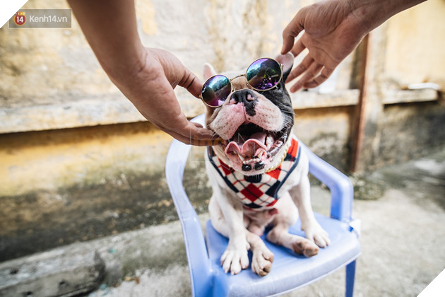 Đây là gia tài siêu to khổng lồ của Ủn - Chú chó thích đi nhặt ve chai ở Hà Nội - Ảnh 6.