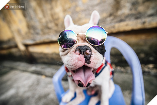 Đ&#226;y l&#224; gia t&#224;i &quot;si&#234;u to khổng lồ&quot; của Ủn - Ch&#250; ch&#243; th&#237;ch đi nhặt ve chai ở H&#224; Nội - Ảnh 7.