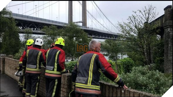 Lính cứu hỏa dành 5 tiếng và 174 tr để cứu 1 con mèo mắc kẹt trên cầu, nhưng nó lại từ chối và ở trển 5