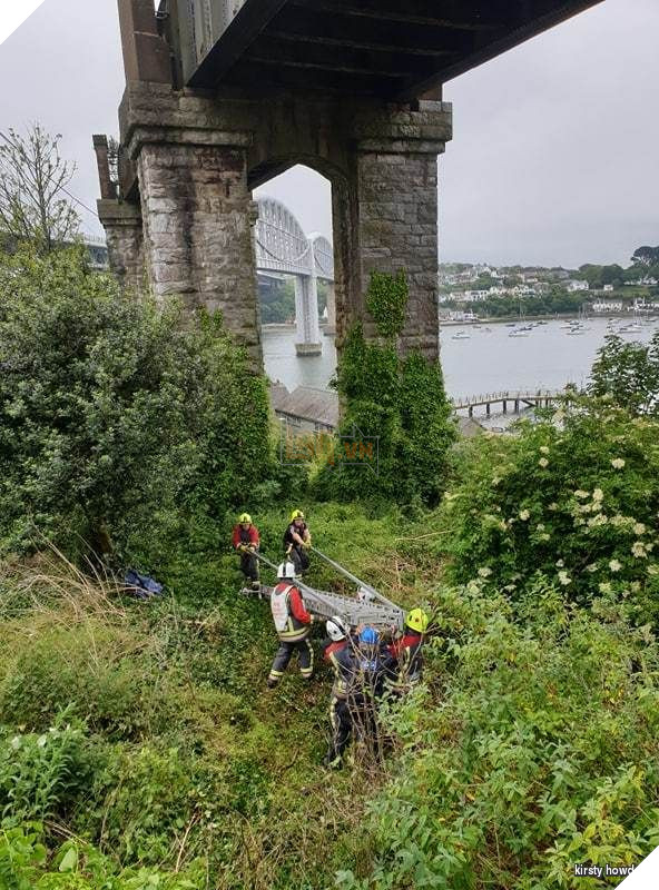 Lính cứu hỏa dành 5 tiếng và 174 tr để cứu 1 con mèo mắc kẹt trên cầu, nhưng nó lại từ chối và ở trển 4