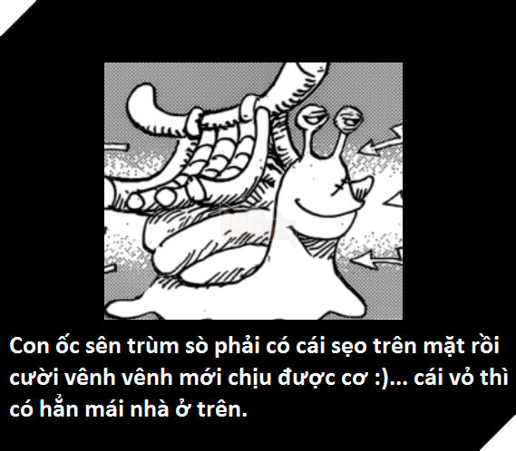 Cùng soi những điểm thú vị trong chapter 946 của One Piece 10