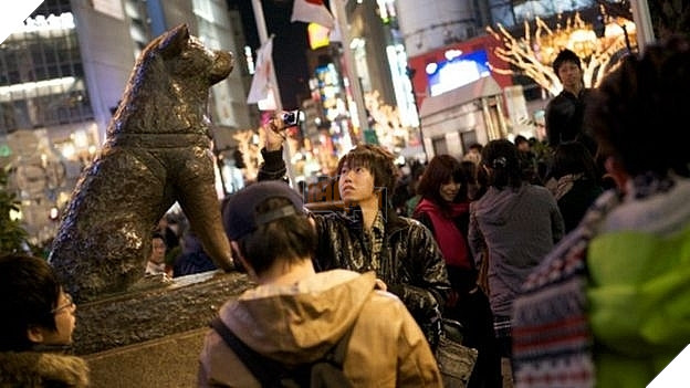  
Chú chó Hachiko ngồi chờ chủ đã được khắc thành tượng ở Nhật Bản