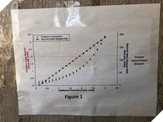Con mèo này mập địt tới nỗi người ta phải dán áp phích cầu xin mọi người đừng cho nó ăn nữa 4