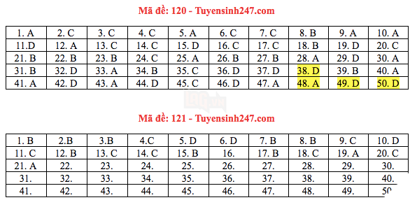 Đáp án đề thi THPT quốc gia 2019 môn Toán (tất cả mã đề) - Ảnh 9.