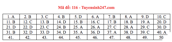 Đáp án đề thi THPT quốc gia 2019 môn Toán (tất cả mã đề) - Ảnh 7.