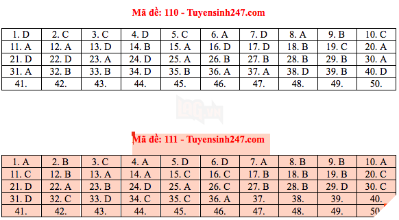 Đáp án đề thi THPT quốc gia 2019 môn Toán (tất cả mã đề) - Ảnh 5.