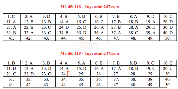 Đáp án đề thi THPT quốc gia 2019 môn Toán (tất cả mã đề) - Ảnh 8.