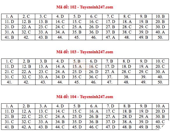 Đáp án đề thi THPT quốc gia 2019 môn Toán (tất cả mã đề) - Ảnh 2.
