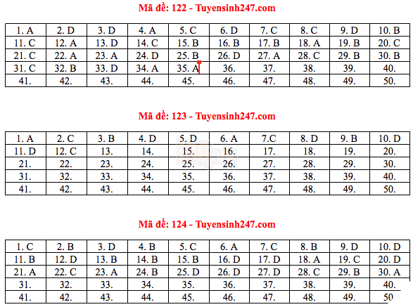 Đáp án đề thi THPT quốc gia 2019 môn Toán (tất cả mã đề) - Ảnh 10.