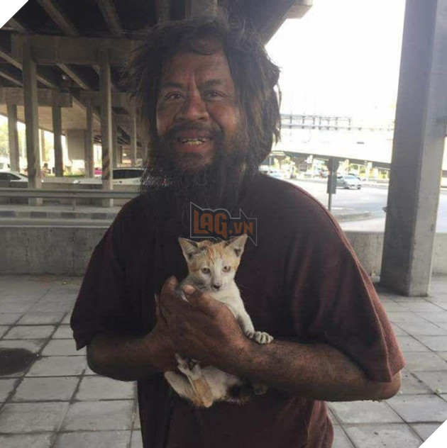 Người đàn ông vô gia cư này ngày ngày bán chanh trên phố để cưu mang những con mèo đi lạc