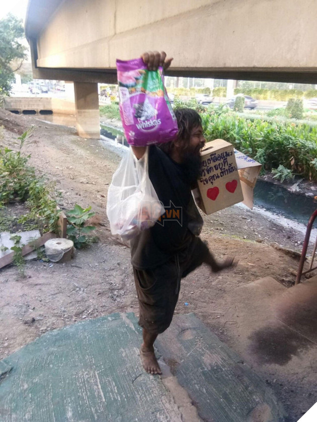 Người đàn ông vô gia cư này ngày ngày bán chanh trên phố để cưu mang những con mèo đi lạc 6