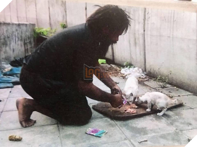 Người đàn ông vô gia cư này ngày ngày bán chanh trên phố để cưu mang những con mèo đi lạc 4