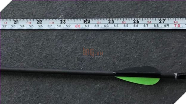 Chú hải âu đáng thương bị mũi tên bắn xuyên người nhưng ảnh chụp X quang còn hé lộ điều rùng rợn hơn - Ảnh 4.