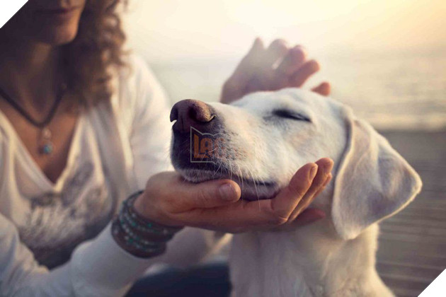 Schertz_iStock-532262202-1024x682