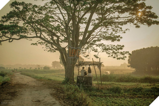 Mắt biếc: Dự án được khán giả mong đợi từng ngày
