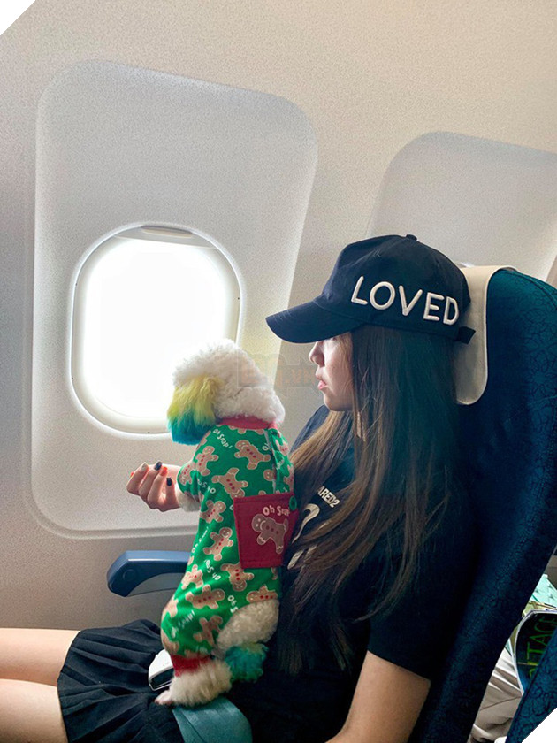 D&#226;n mạng chia phe tranh c&#227;i &quot;nảy lửa&quot; với c&#226;u chuyện mang th&#250; cưng l&#234;n m&#225;y bay của c&#244; bạn đến từ S&#224;i G&#242;n - Ảnh 1.