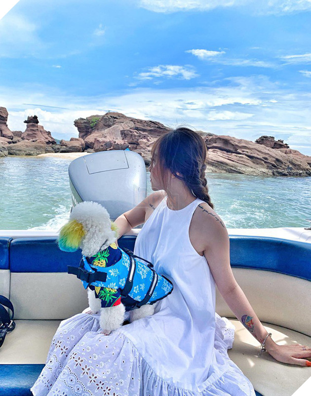 D&#226;n mạng chia phe tranh c&#227;i &quot;nảy lửa&quot; với c&#226;u chuyện mang th&#250; cưng l&#234;n m&#225;y bay của c&#244; bạn đến từ S&#224;i G&#242;n - Ảnh 3.