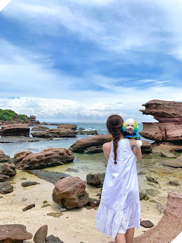 D&#226;n mạng chia phe tranh c&#227;i &quot;nảy lửa&quot; với c&#226;u chuyện mang th&#250; cưng l&#234;n m&#225;y bay của c&#244; bạn đến từ S&#224;i G&#242;n - Ảnh 4.