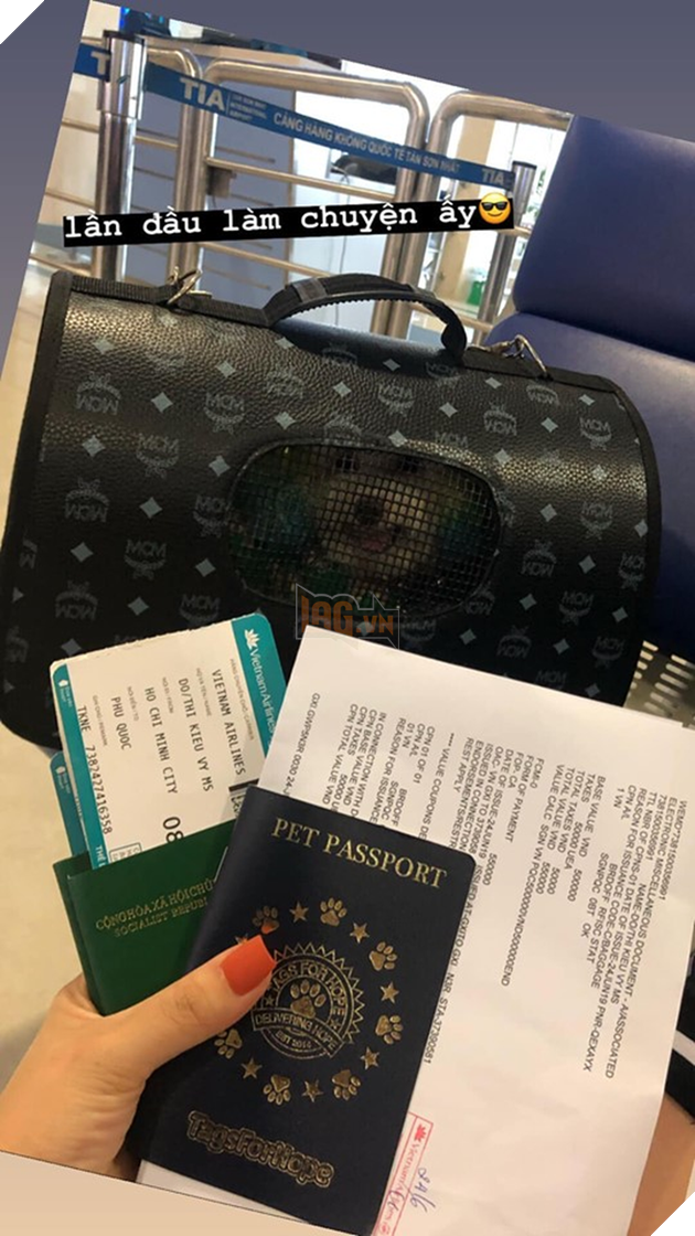 D&#226;n mạng chia phe tranh c&#227;i &quot;nảy lửa&quot; với c&#226;u chuyện mang th&#250; cưng l&#234;n m&#225;y bay của c&#244; bạn đến từ S&#224;i G&#242;n - Ảnh 2.