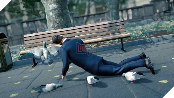 Từ bánh mì, bác sĩ phẫu thuật, game thủ hóa thân thành chim bồ câu