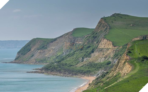 Chú chó rơi từ vách đá 160m và sống sót nhờ ăn rong rêu