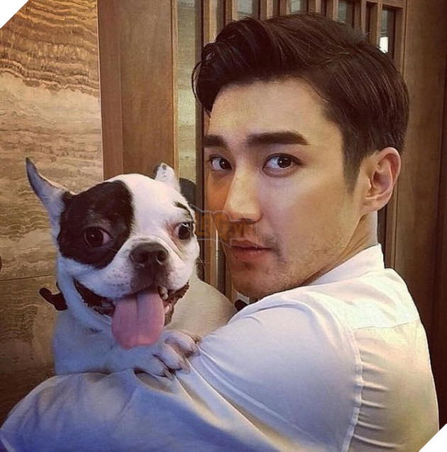 Khoa Học Chứng Minh: Người Thường Hay Nói Chuyện Với Chó, Mèo Đều Rất Thông Minh 2