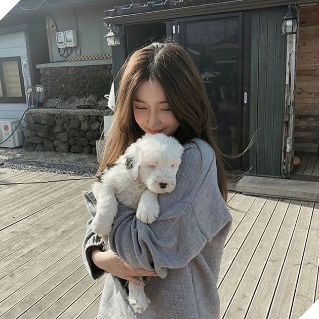 Khoa Học Chứng Minh: Người Thường Hay Nói Chuyện Với Chó, Mèo Đều Rất Thông Minh 5