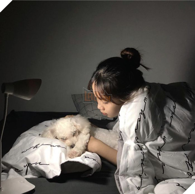 Khoa Học Chứng Minh: Người Thường Hay Nói Chuyện Với Chó, Mèo Đều Rất Thông Minh 8