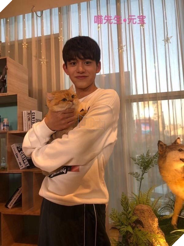 Khoa Học Chứng Minh: Người Thường Hay Nói Chuyện Với Chó, Mèo Đều Rất Thông Minh 4