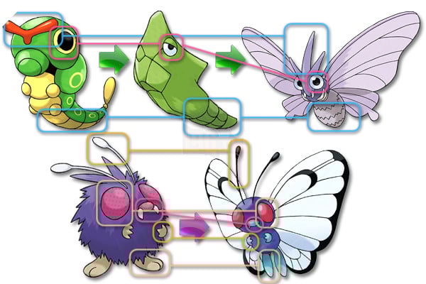 Tổng hợp một số thuyết âm mưu động trời trong thế giới của Pokemon 8