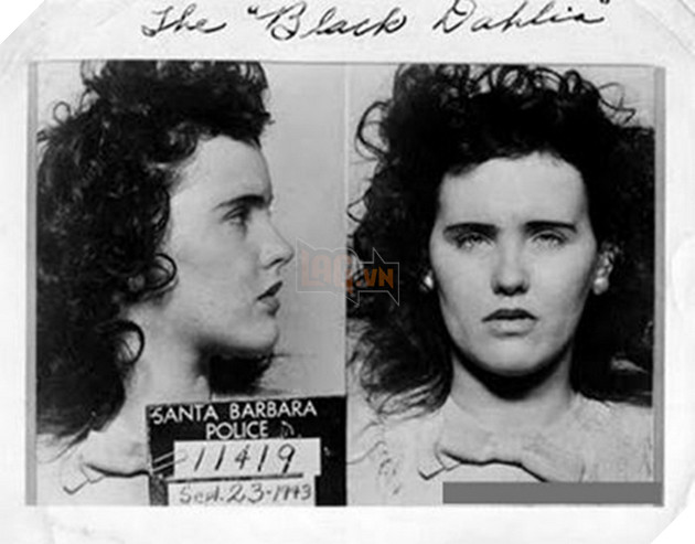 Vụ án Thược Dược Đen - Black Dahlia trong Spider-man Far From Home: Một trong những cái chết bí ẩn nhất lịch sử 6