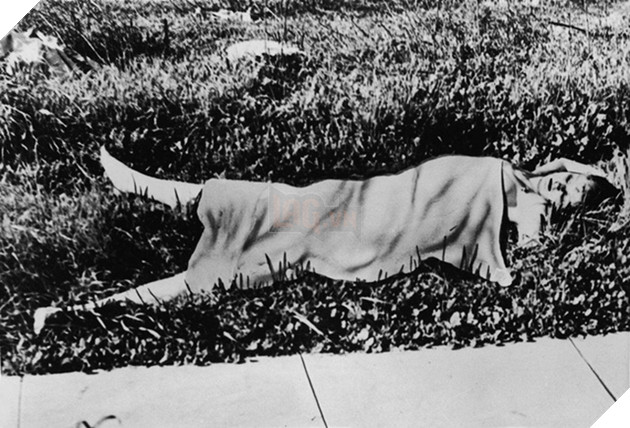 Vụ án Thược Dược Đen - Black Dahlia trong Spider-man Far From Home: Một trong những cái chết bí ẩn nhất lịch sử 3