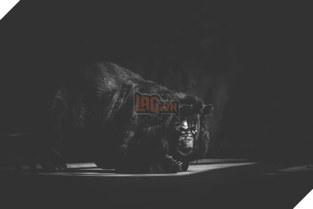 Cuộc sống cô độc của động vật trong sở thú ở Bangladesh 12