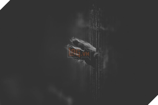 Cuộc sống cô độc của động vật trong sở thú ở Bangladesh 3