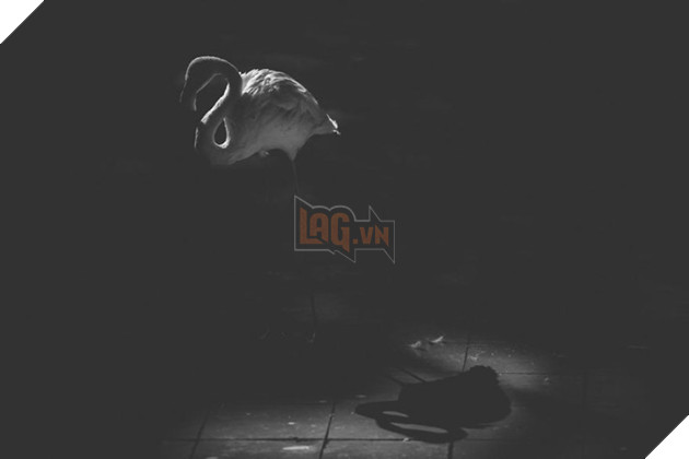 Cuộc sống cô độc của động vật trong sở thú ở Bangladesh 9