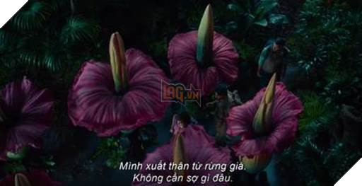 Nữ thủ lĩnh Transformers và chuyến phiêu lưu mạo hiểm trong Dora và thành phố Vàng mất tích