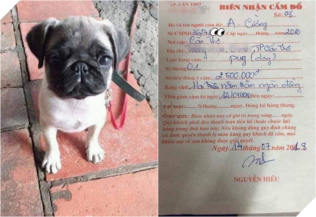 Cám cảnh con boss bị sen mang đi cầm cố cả năm chưa chuộc, chủ tiệm than trời vì cung phụng quá tốn kém