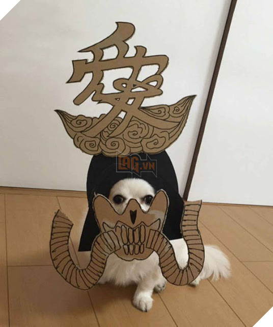Chú chó cosplay bằng bìa các tông khiến cộng đồng mạng như tan chảy vì quá đáng yêu 14