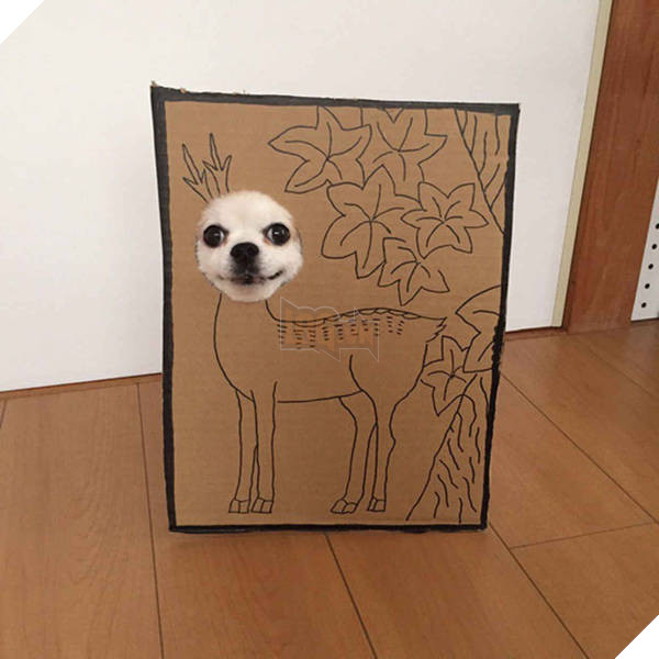 Chú chó cosplay bằng bìa các tông khiến cộng đồng mạng như tan chảy vì quá đáng yêu 18