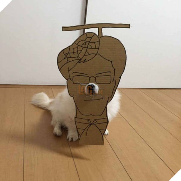 Chú chó cosplay bằng bìa các tông khiến cộng đồng mạng như tan chảy vì quá đáng yêu 21