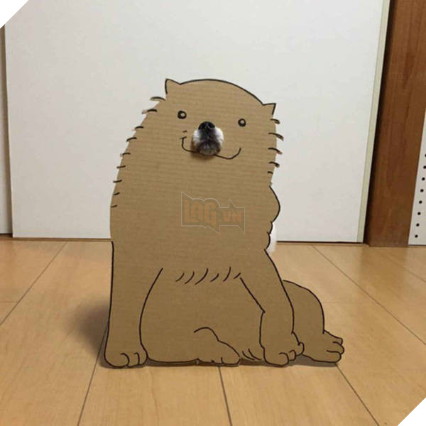 Chú chó cosplay bằng bìa các tông khiến cộng đồng mạng như tan chảy vì quá đáng yêu 22