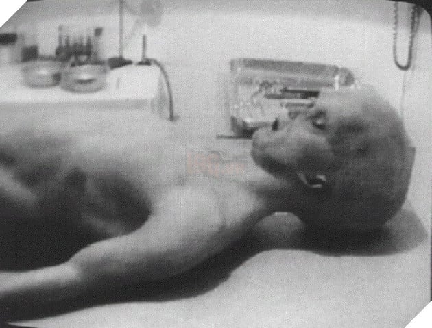 Area 51 là gì và những điều bí ẩn kinh dị được giấu tại khu vực bí mật nhất nước Mỹ này 4