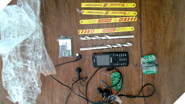 Những con mèo phải vào tù bóc lịch vì tội côn đồ, gian tế và lấy mỡ đè người 2