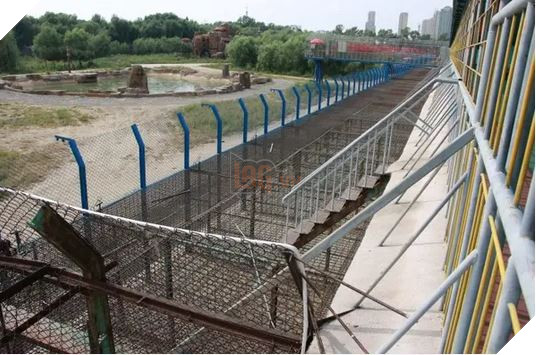 Sư tử ở Nam Phi được nhân giống để giết làm thuốc bán sang Trung Quốc hoặc phục vụ thú vui săn bắn