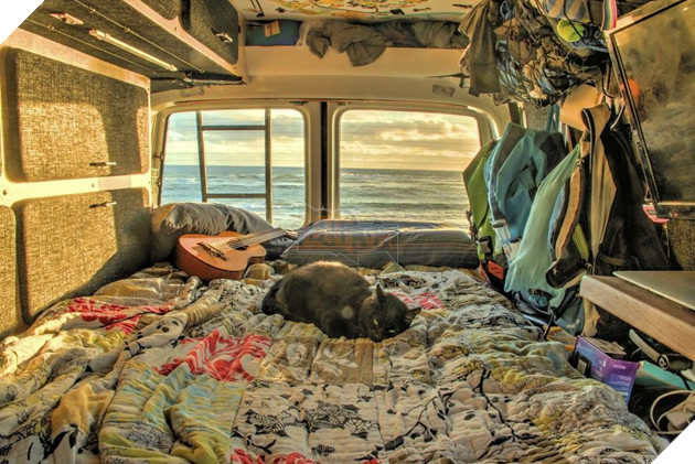 Chàng trai bỏ việc, bán nhà để đi du lịch cùng... thú cưng