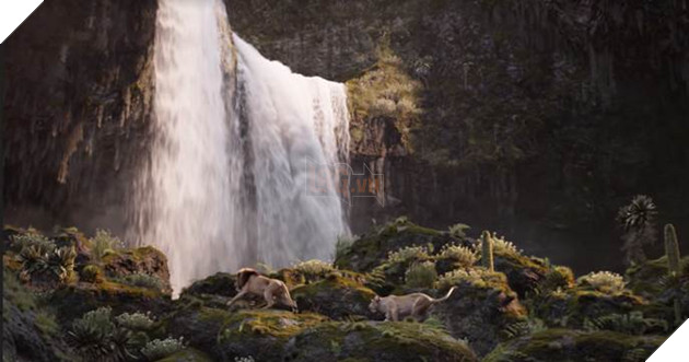 5 điểm “ngoạn mục” hơn cả bản gốc của Vua Sư Tử 2019 phiên bản live-action 3