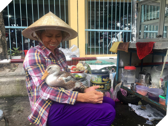 CLIP: Kỳ lạ cCon vịt biết làm nũng, biết phân biệt lạ, quen ở Phú Nhuận - Ảnh 1.